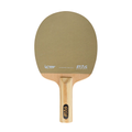 Stag Global ICTTF Certified Sandpaper Racket - 5.5mm Ply